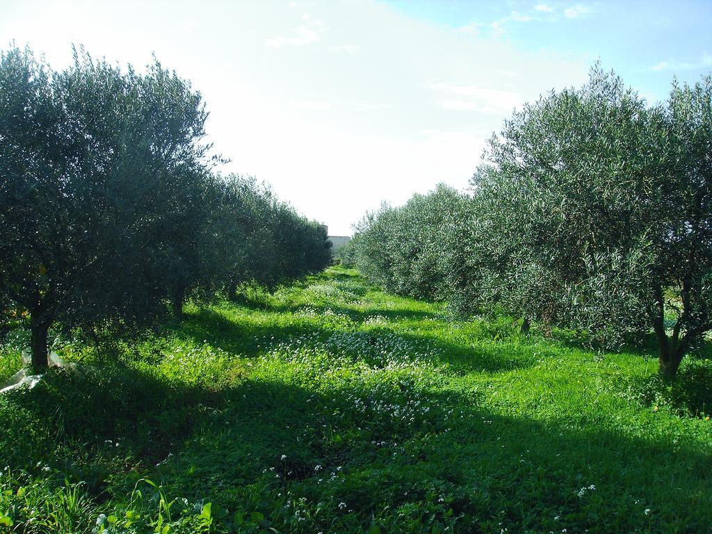 Casale Stagnone Guest House Marsala Eksteriør bilde